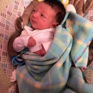 Meet your Posher, Pattie